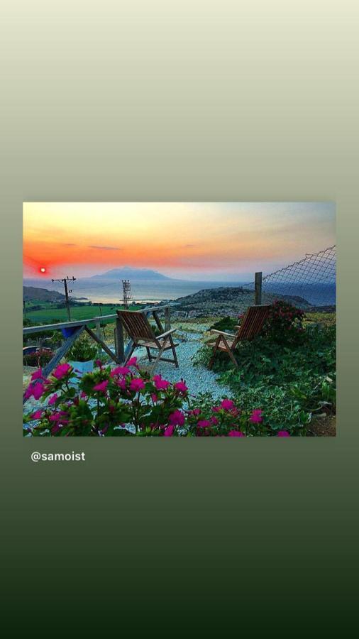 Готель Dimitri Ada Evi & Restaurant Gokceada Екстер'єр фото