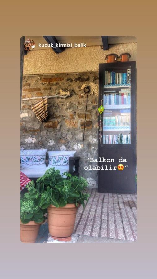 Готель Dimitri Ada Evi & Restaurant Gokceada Екстер'єр фото